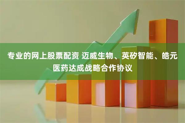 专业的网上股票配资 迈威生物、英矽智能、皓元医药达成战略合作协议