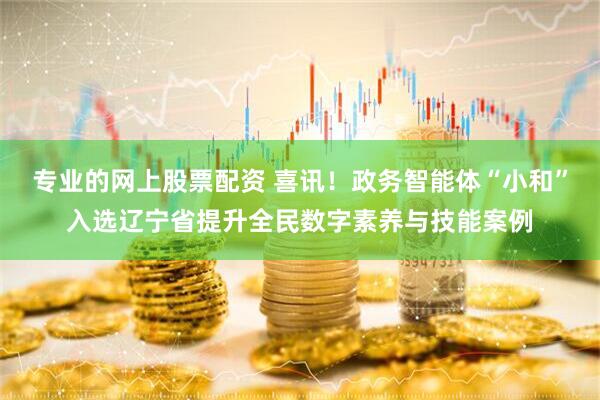 专业的网上股票配资 喜讯！政务智能体“小和”入选辽宁省提升全民数字素养与技能案例