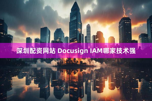 深圳配资网站 Docusign IAM哪家技术强